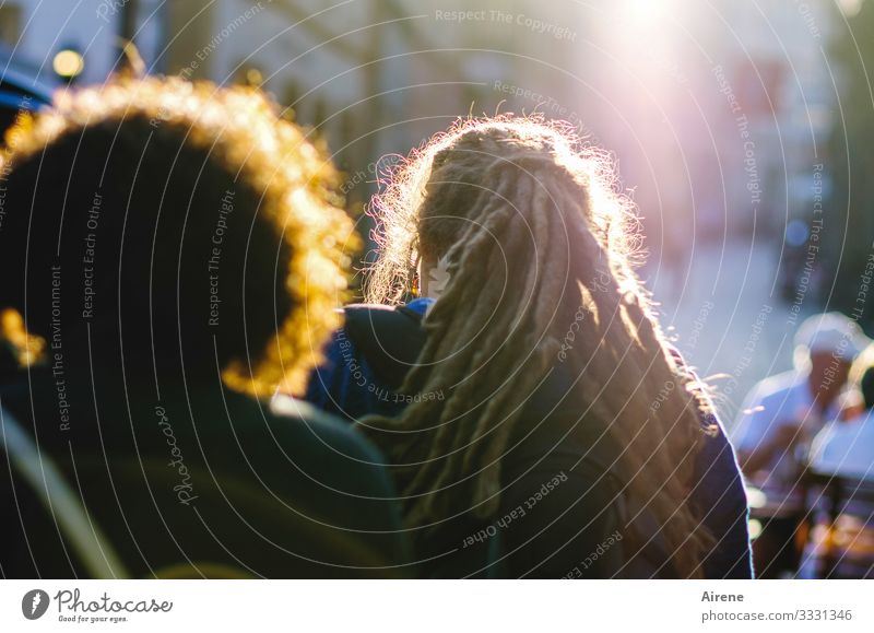 Which way to the barbershop? Human being Adults Head Hair and hairstyles Back 3 Group Dreadlocks Afro Going Illuminate Glittering Evening sun To go for a walk