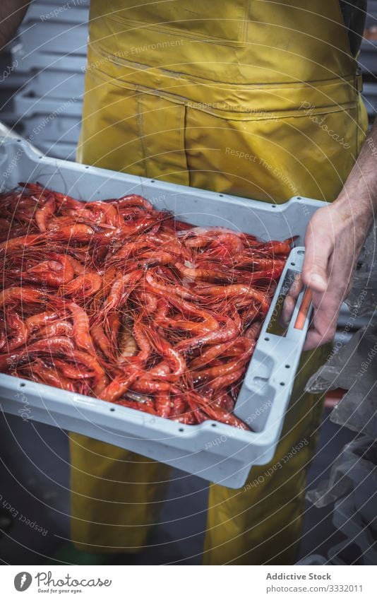 Faceless worker with red shrimps in market stall man carry box fresh marketplace meal prawn nutrition gourmet male food eat protein product fisher store sale