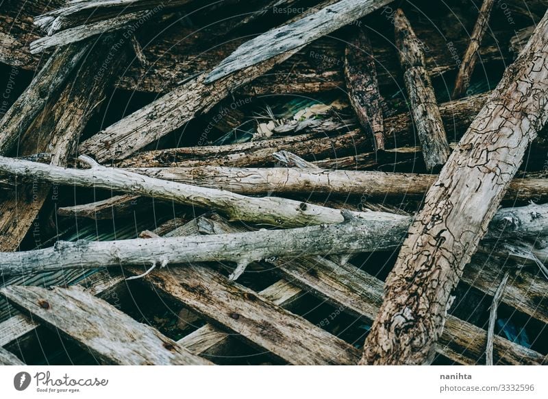 Old and grunge wooden texture Wallpaper Nature Wood Rust Faded Authentic Cool (slang) Retro Trashy Many Colour Consistency Surface Grunge broken vintage filter