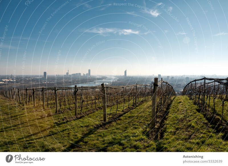 View of Vienna Environment Nature Landscape Plant Air Sky Clouds Horizon Autumn Weather Beautiful weather Bushes Agricultural crop Vine Meadow Hill River Danube