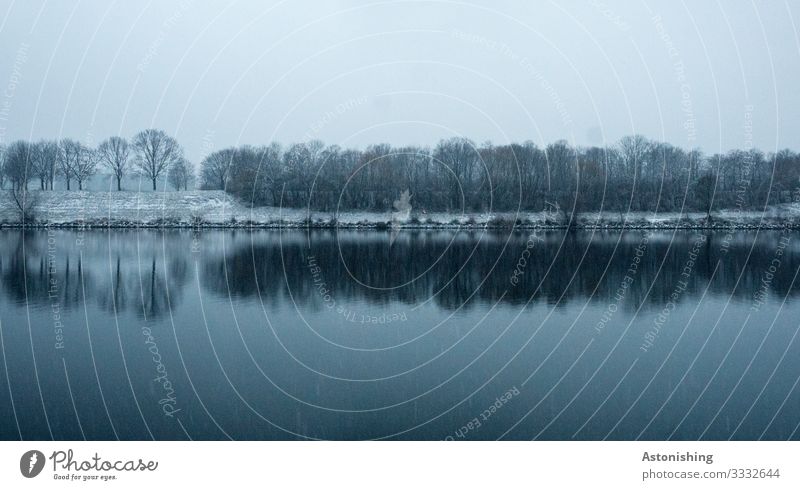 fantastic weather Environment Nature Landscape Water Sky Clouds Winter Weather Bad weather Storm Wind Fog Snow Snowfall Tree River bank Danube Danube Island