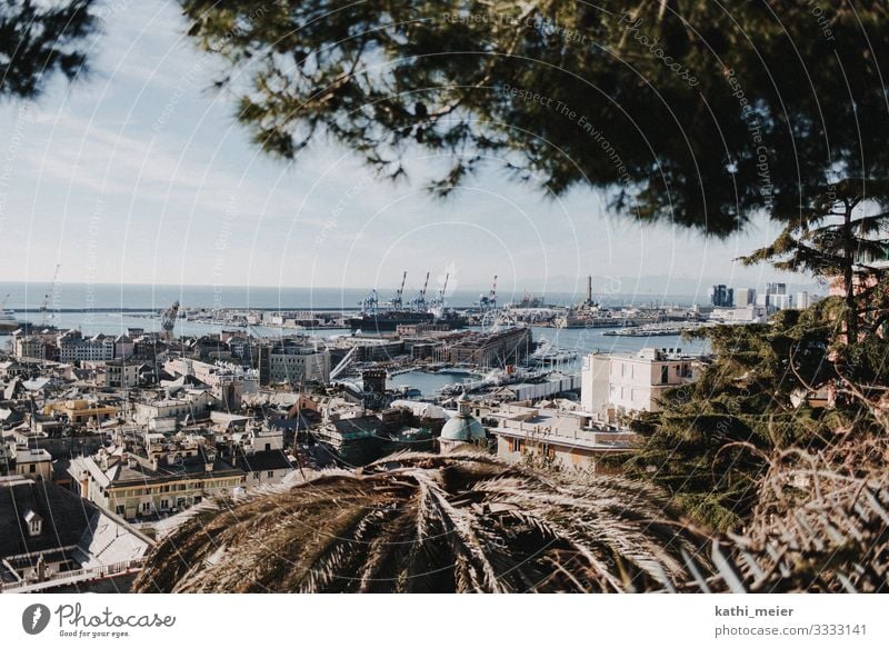 View of Genoa in January Genua Port City Harbour Europe coast vacation Town Panorama (View) Outskirts Vantage point Exterior shot City trip Sightseeing Skyline