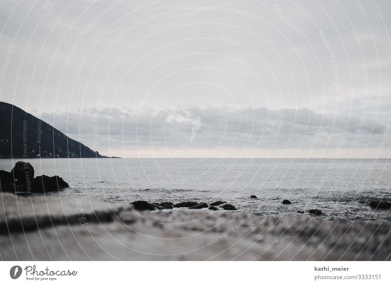 beach Environment Climate Climate change Bad weather Beach Ocean Island Gray Serene Patient Calm Pain Longing Wanderlust Disappointment Loneliness Exhaustion