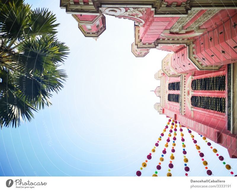 pink church with lanterns and palm tree with view from below Church Catholic Palm tree Lampion Ho chi minh City Ho Chi Minh City Saigon Church spire