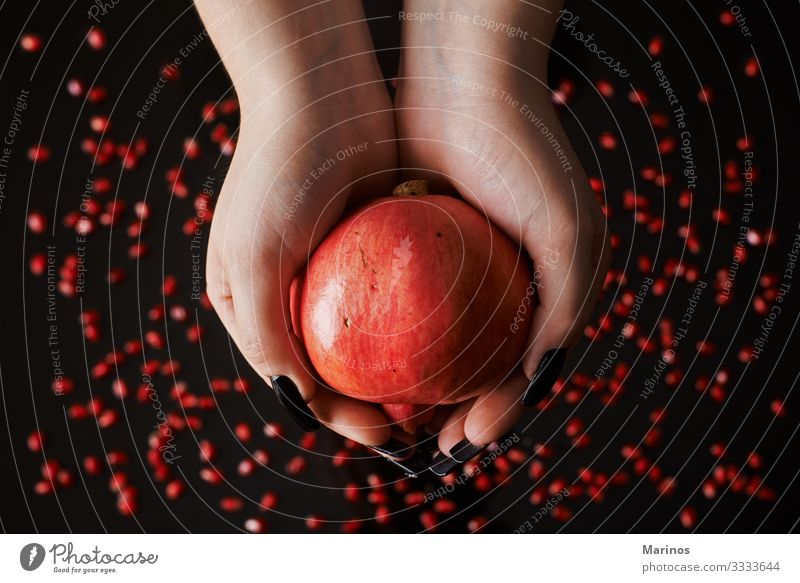 hands holding a pomegranate. Fruit Dessert Vegetarian diet Diet Juice Garden Fresh Natural Juicy Red Black Colour dieting health Vitamin Organic agriculture