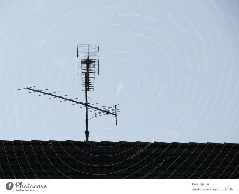 House antenna House (Residential Structure) Roof Antenna Communicate Historic Above Town Gray Black television aerial Colour photo Exterior shot Deserted