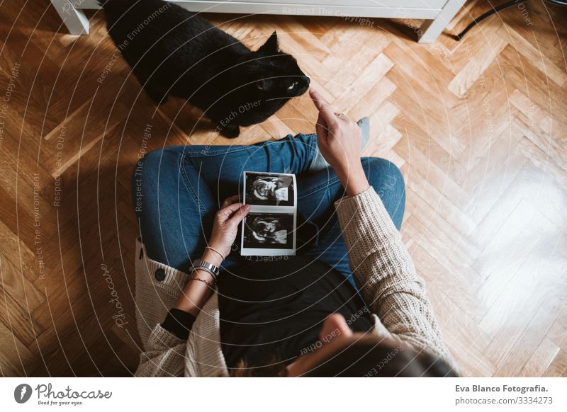 young pregnant woman at home with black cat. woman holding a baby ultrasound Pregnant Woman Youth (Young adults) pregnancy Home maternity Life