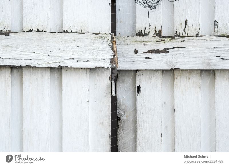 wooden door Hut Door Old Authentic White Curiosity Interest Wood Wooden gate Entrance Exterior shot Deserted Copy Space bottom