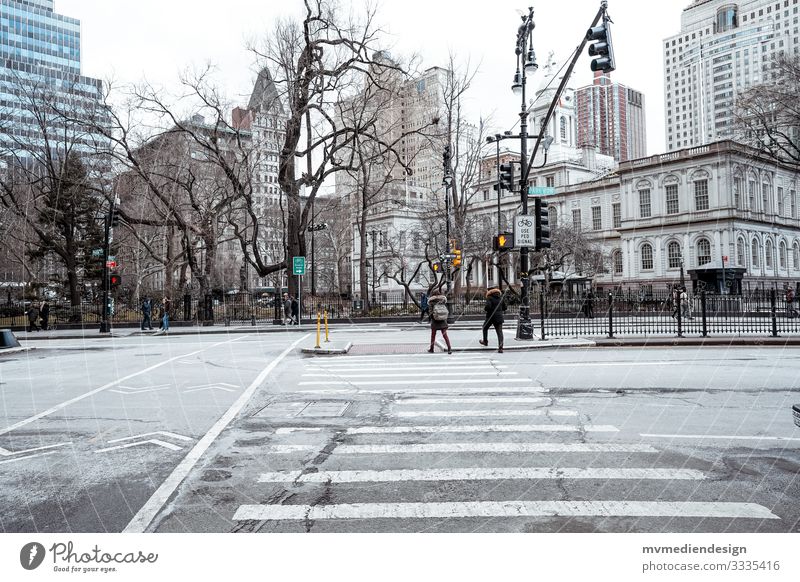 In the streets of New York New York City Crossroads Brooklyn Bridge Tourism explore USA Traffic light Road signs Zebra crossing houses American