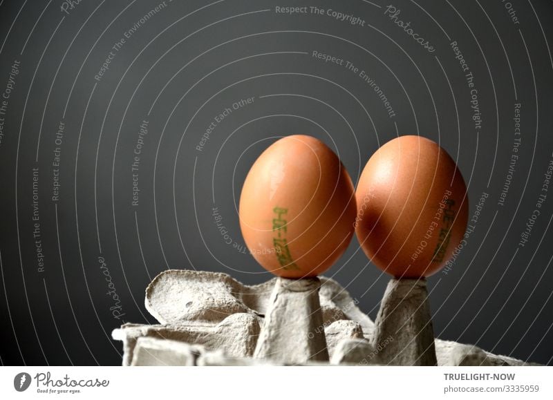 Two organic eggs talking... Food Egg Nutrition Breakfast Organic produce Vegetarian diet Lifestyle Shopping Joy Healthy Healthy Eating Wellness Well-being