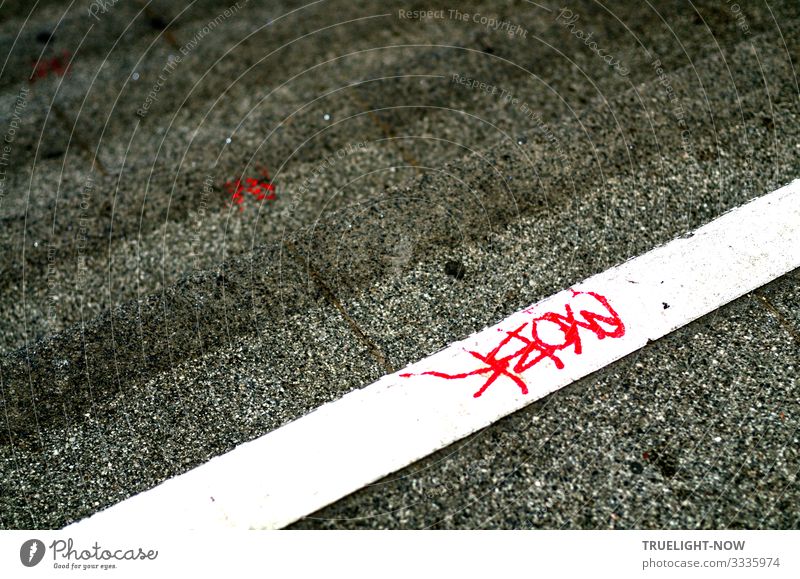 In blood? | Written Youth culture Punk Graffiti Downtown Deserted Train station Stairs Traffic infrastructure Public transit Train travel Pedestrian