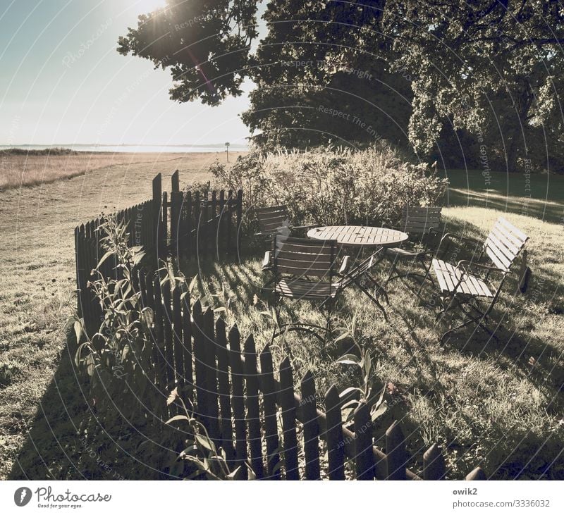 ummmanz Environment Nature Landscape Plant Water Cloudless sky Horizon Beautiful weather Tree Grass Bushes Garden Meadow Coast Baltic Sea Island Rügen Fence