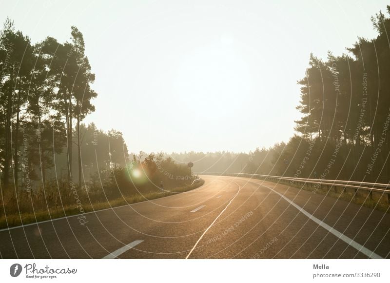 Long way home - Empty road Street Road traffic Highway Expressway exit Transport Deserted Sunrise Sunlight Back-light Curve Infrastructure