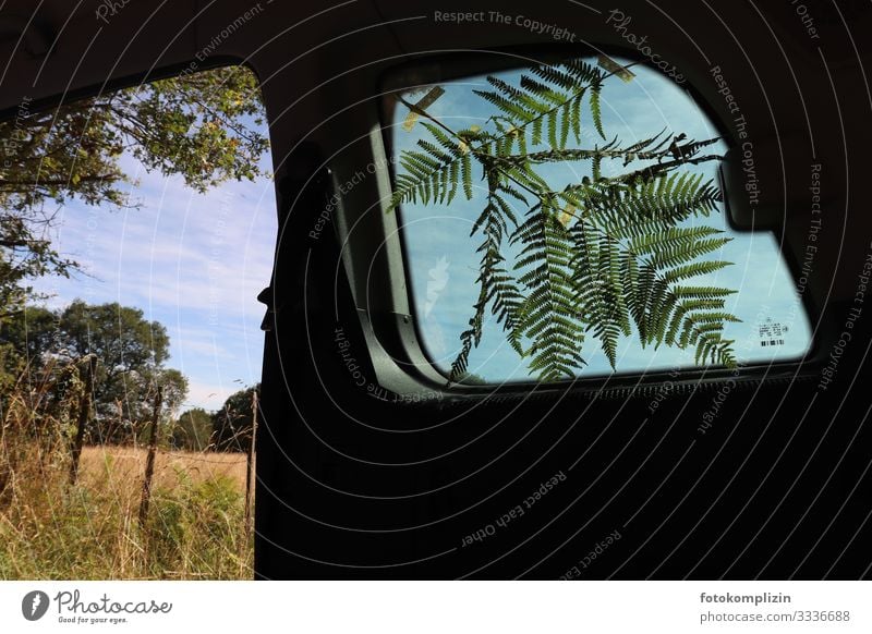 Fern branch on car window Fern leaf Car Window road trip Vacation photo excursion to the green Trip in the country Love of nature country love Environment