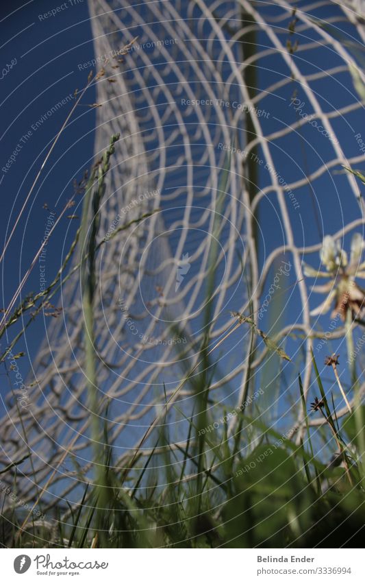 soccer Sports Ball sports Sportsperson Sports team Goalkeeper Referee Success Gate Playing Colour photo Exterior shot Day Worm's-eye view