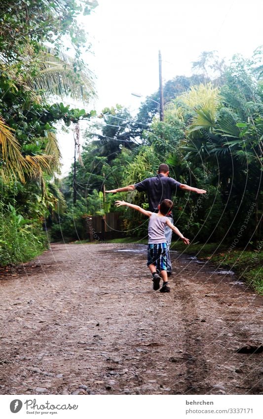 far away | flying Lanes & trails Virgin forest rainforest Palm tree Infancy muck about talk rubbish Playing Costa Rica Exterior shot Man Boy (child) Nature