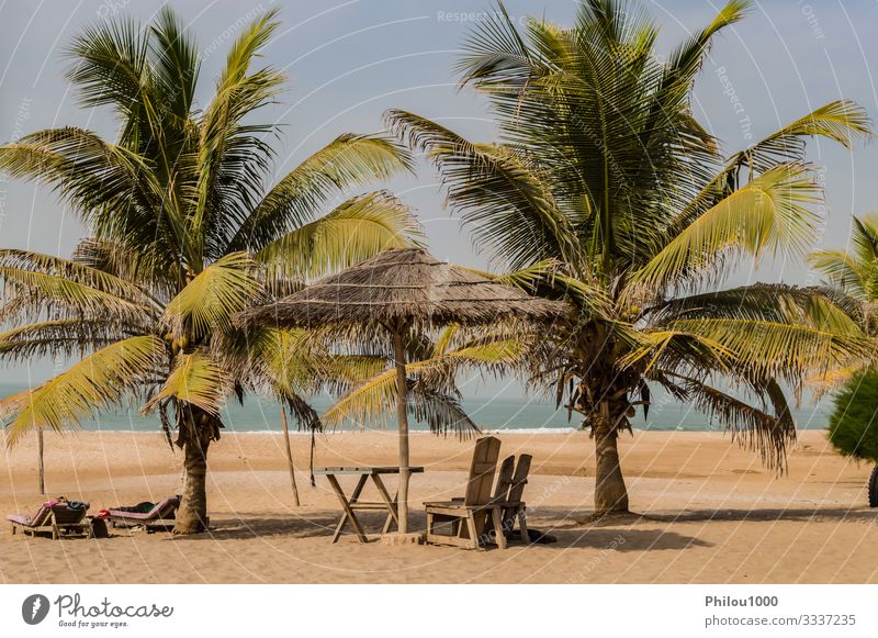 Two chairs and coffee table under a palm Beautiful Relaxation Vacation & Travel Tourism Summer Beach Ocean Chair Table Financial institution Sand Sky Clouds