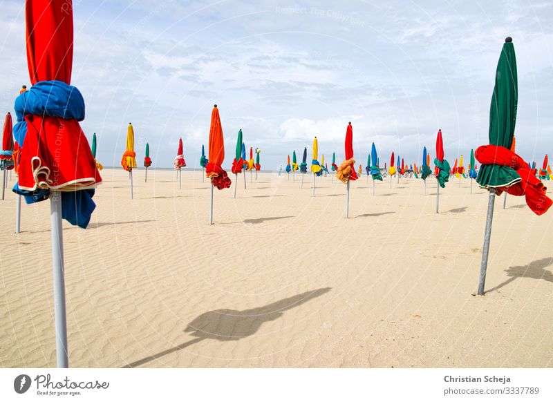 red and green Vacation & Travel Tourism Summer Summer vacation Sun Sunbathing Beach Ocean Relaxation Sunshade Beautiful weather Coast Normandie Deauville