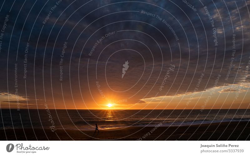 Walking during a beautiful sunset Landscape Earth Water Sky Clouds Horizon Sun Sunrise Sunset Sunlight Winter Weather Wind Waves Coast Beach Ocean Emotions