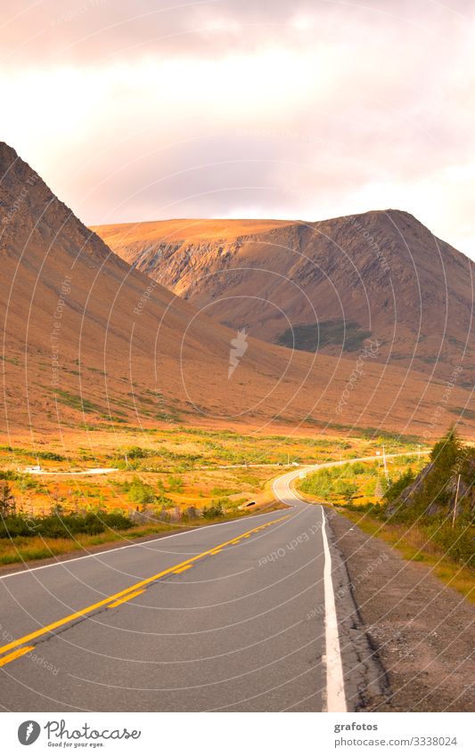 New-Found-Land Nature Landscape Earth Hill Mountain Street Joie de vivre (Vitality) Warm-heartedness Belief Longing Wanderlust Newfoundland Colour photo