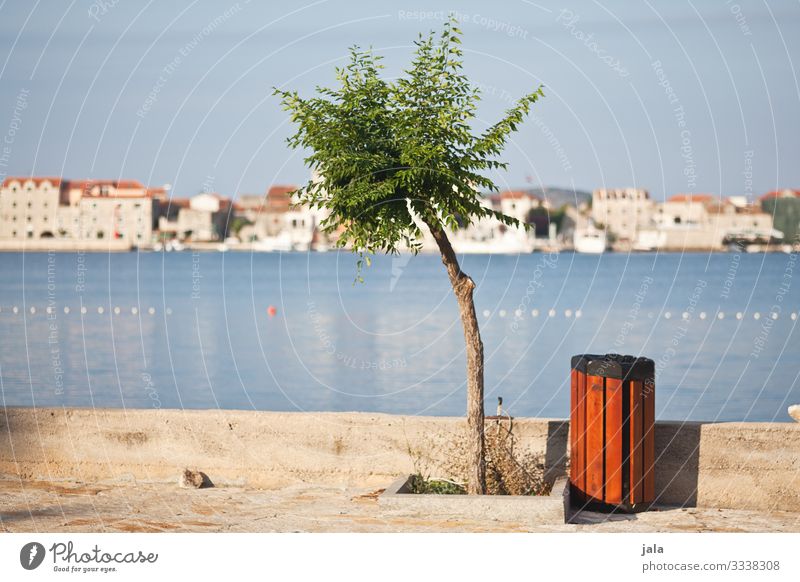 sea view Landscape Sky Cloudless sky Summer Beautiful weather Tree Coast Ocean Town House (Residential Structure) Harbour Wall (barrier) Wall (building)