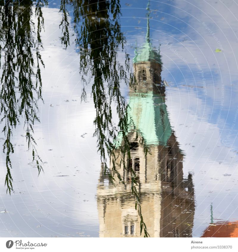 Weeping willow and spire - everything is upside down reflection Reflection in the water Lake Pond willow branches Willow tree classicistic style Classicism