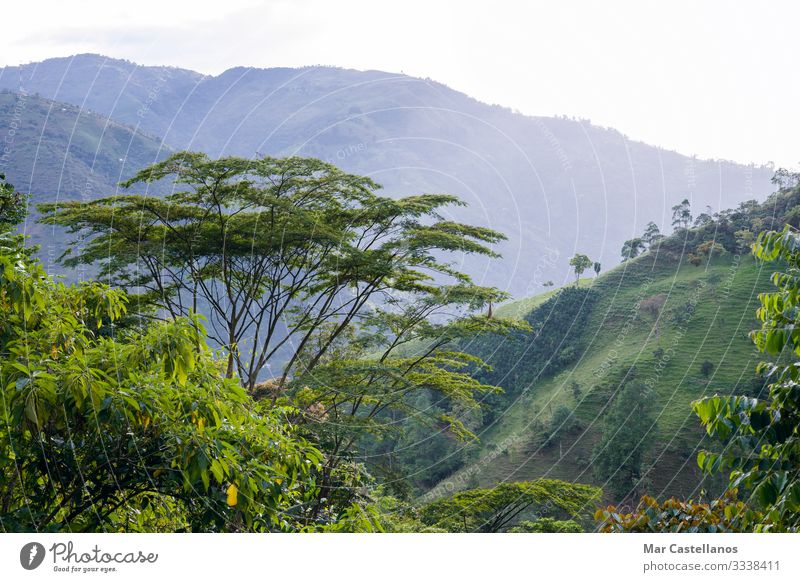 Colombian mountain landscape. Coffee-growing area. Antioquia. Calm Vacation & Travel Tourism Freedom Sightseeing Summer Summer vacation Mountain Nature