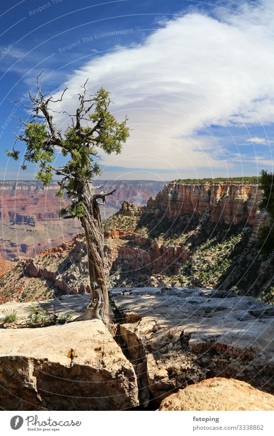 Grand Canyon Beautiful Tourism Trip Adventure Summer Sun Nature Landscape Sand Air Clouds Weather Rock Desert Tourist Attraction Landmark Stone Exceptional