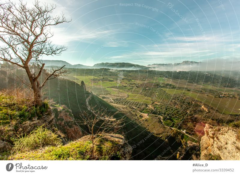 Ronda valley landscape Vacation & Travel Hiking Environment Nature Landscape Plant Fog Tree Meadow Field Hill Rock Mountain Canyon Spain Europe Authentic