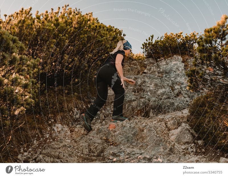 Hiking on the Brecherspitz | Bavaria crusher tip mountain Alps Peak Forest panorama Going Athletic Sports warm Autumn Green Brown Woman Blue sky tranquillity