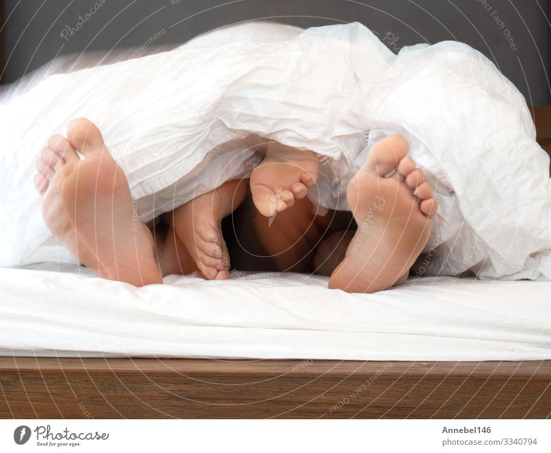 close up feet of a couple under the white sheets blanket in bed, Body Relaxation Leisure and hobbies Bedroom Human being Woman Adults Family & Relations Couple