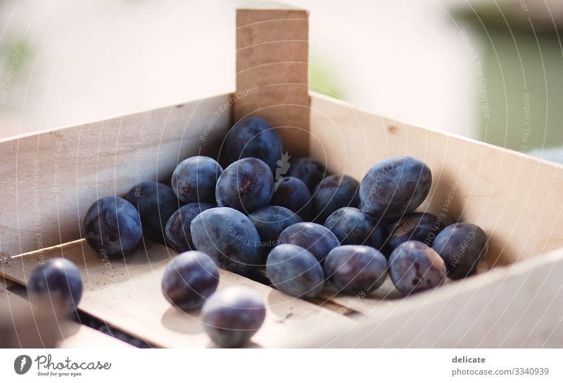 Damask plums Plum tree plum cake plum dachshis Fruit Garden Autumn late summer Fruit garden fruit Fruit trees fruit harvest Harvest Mature Delicious Food