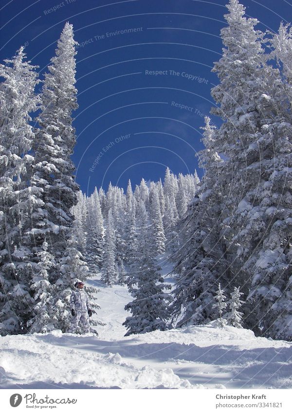 Snow Snow winter landscape Snowboard Snowboard Park Winter Winter mood Snowboarder Colorado steamboat