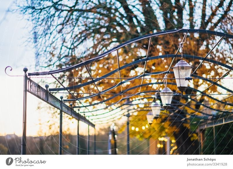 Lanterns on metal roof in autumn at dusk Evening sun Germany Twilight Orange-red Illuminate foliage Deciduous forest Warm colour Autumn Autumnal