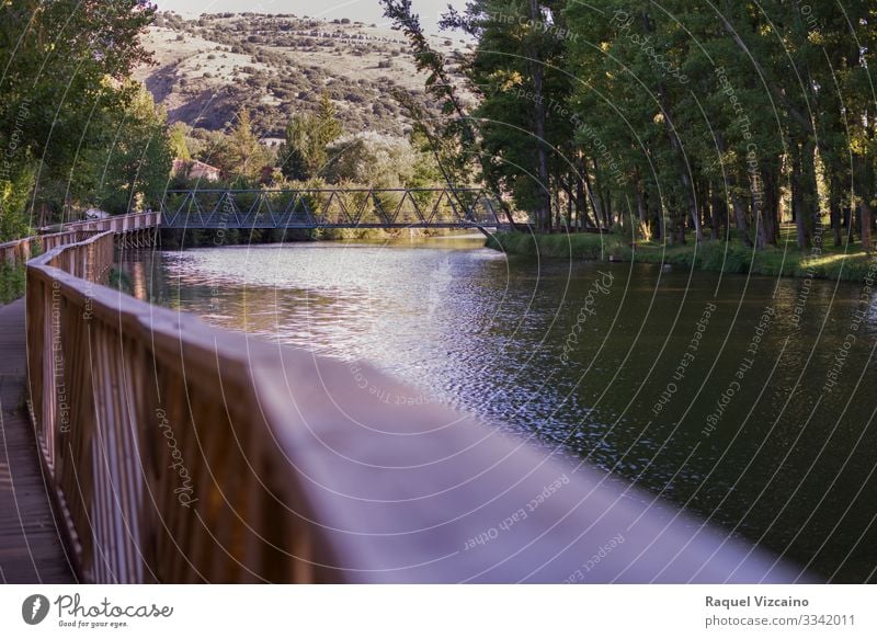 A bridge that crosses the river Adventure Summer Mountain Nature Landscape Water Spring Tree Bushes Forest Pond Lake River Bridge Natural Blue Brown fall Scene