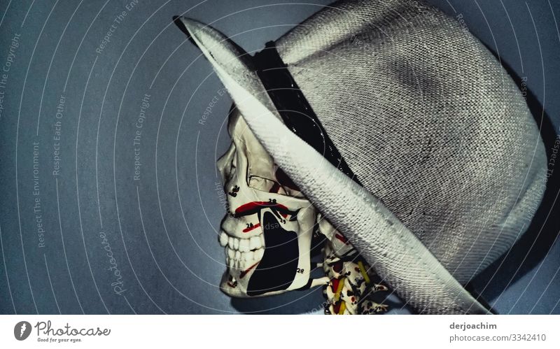 Potrait with hat. A skeleton with hat from the side to the viewer. The teeth are well visible. Joy Well-being Androgynous Head 1 Human being Beautiful weather