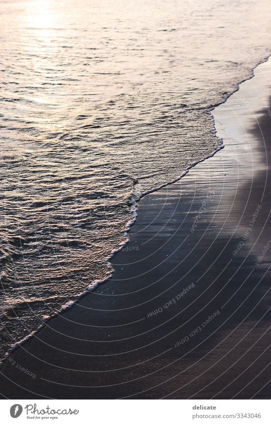 seaweed Reflection Evening Shadow Contrast Twilight Sunbeam Thailand Sunset Visual spectacle voyage Silhouette Deserted Sunlight Colour photo Exterior shot Bay