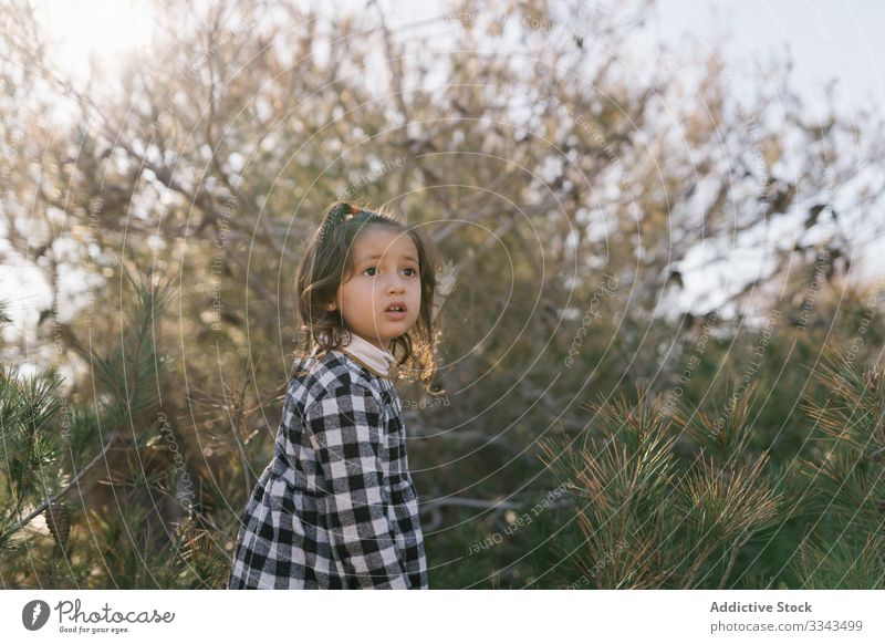 Ethnic girl playing in countryside child having fun forest kid nature calm childhood weekend activity trip ethnic day lovely vacation holiday inspiration