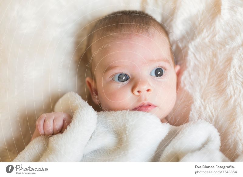 Portrait of  a cute baby girl awake, looking at the camera. She is holding a white blanket. White background Baby Cute Small Portrait photograph Child Infancy