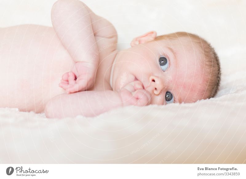 Portrait of  a cute baby girl awake, looking at the camera. White blanket background Baby Cute Small Portrait photograph Child Infancy Beautiful Face Girl