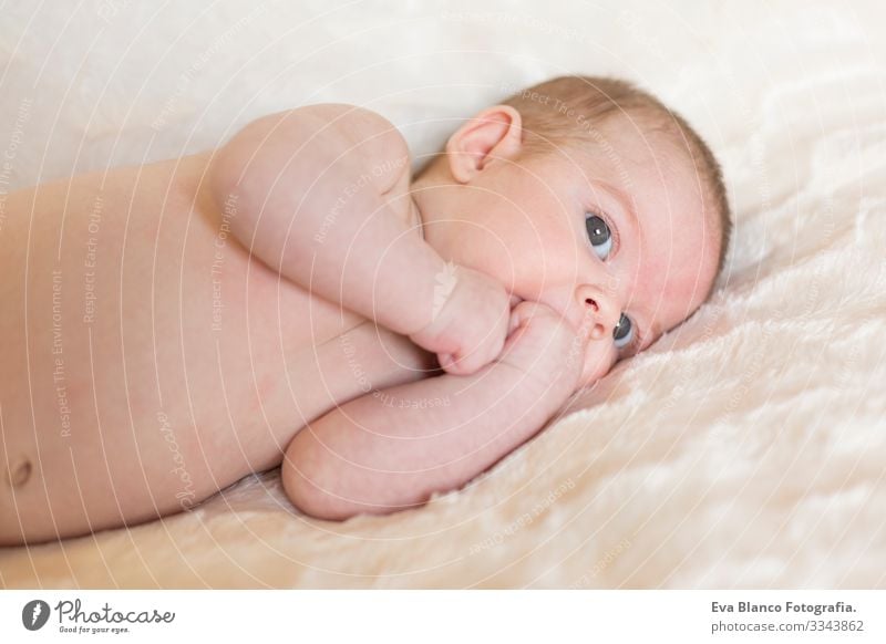 Portrait of  a cute baby girl awake, looking at the camera. White blanket background Baby Cute Small Portrait photograph Child Infancy Beautiful Face Girl