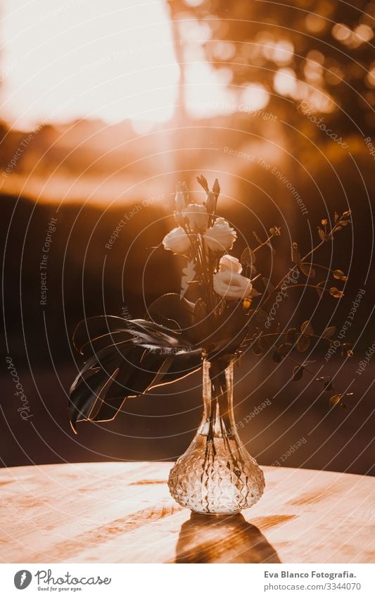 Bouquet of white flowers in a glass jug, outdoors on a table, trees on background beautiful golden hour light. Deco concept dotted Warm light Meadow flower