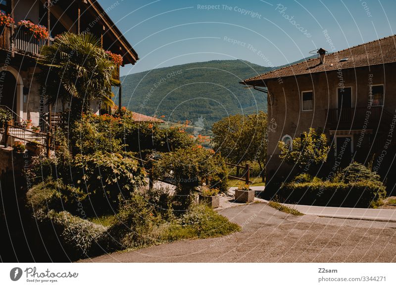 Italian finca alpine crossing Lake Garda Mountain bike mtb transalp Italy northern italy Village Town House (Residential Structure) Mediterranean South Summer