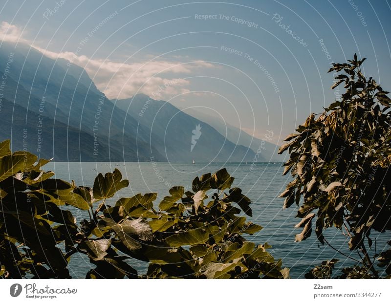 Lake Garda from Riva Riva del Garda bushes mountain lake Alps Sky Blue Mountain Clouds Haze Summer Sun Water Body of water Italy northern italy vacation