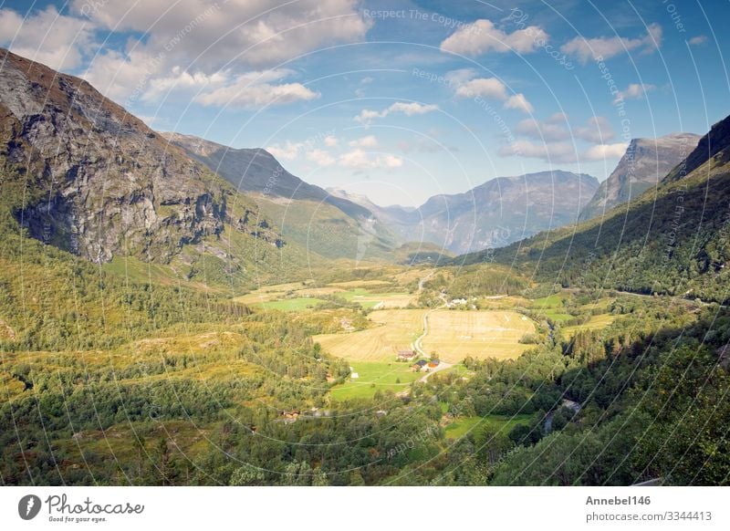 Beautiful top view mounrain summer landscape in Norway Blue sky Vacation & Travel Tourism Summer Ocean Mountain Environment Nature Landscape Sky Clouds Tree