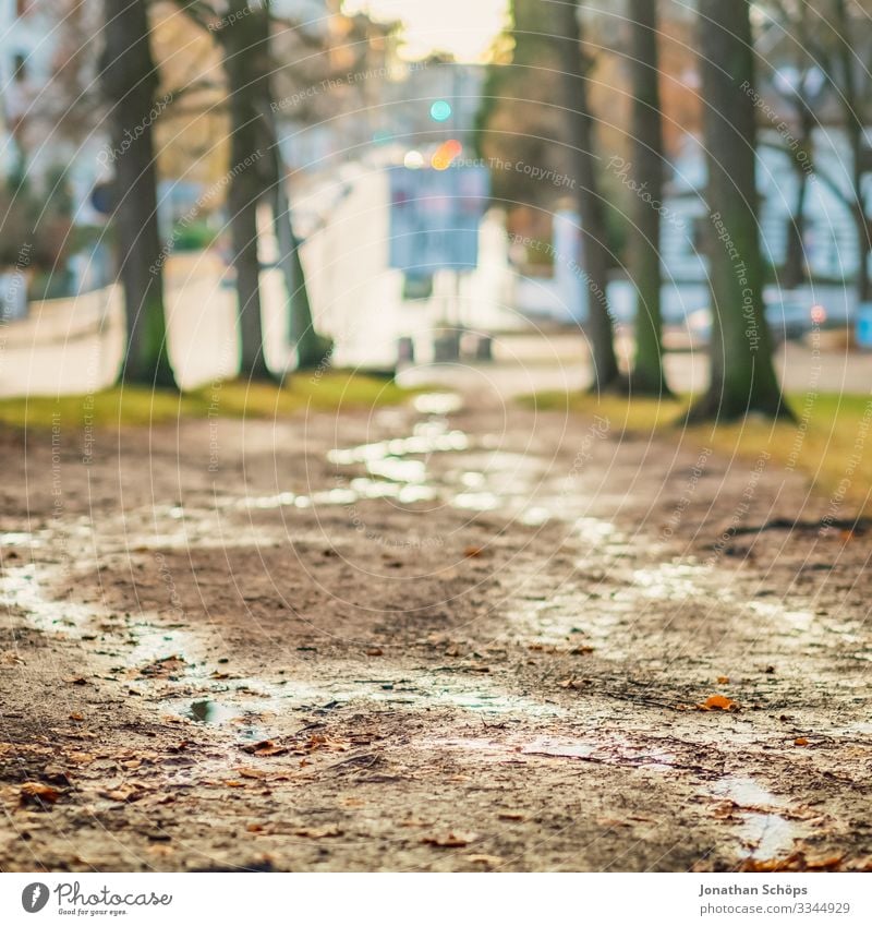 Path at the edge of the forest after a rain Evening sun Chemnitz Germany Twilight Saxony off Edge of the forest Rain Damp Rainy weather Morning kitchen forest