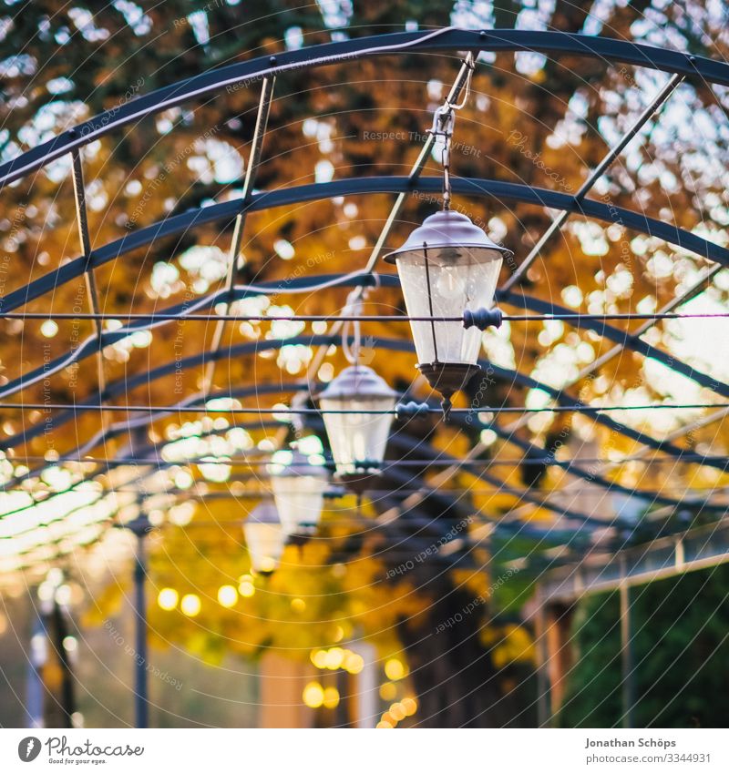 Lanterns on metal roof in autumn at dusk Evening sun Germany Twilight Orange-red Illuminate foliage Deciduous forest Warm colour Autumn Autumnal