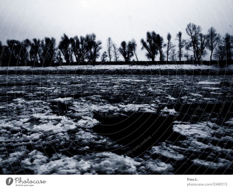 ice cream cream Environment Nature Landscape Ice Frost Snowfall Tree River bank Hamburg Port City Cold Winter Ice floe Wall (barrier) Black & white photo