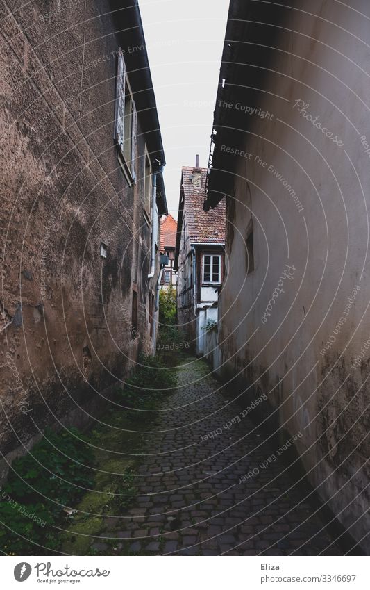 gas Village Deserted Alley Lanes & trails Cobblestones Half-timbered house Old Dark Narrow Loneliness Going Gloomy Moss Facade Wall (barrier) rancid Dirty