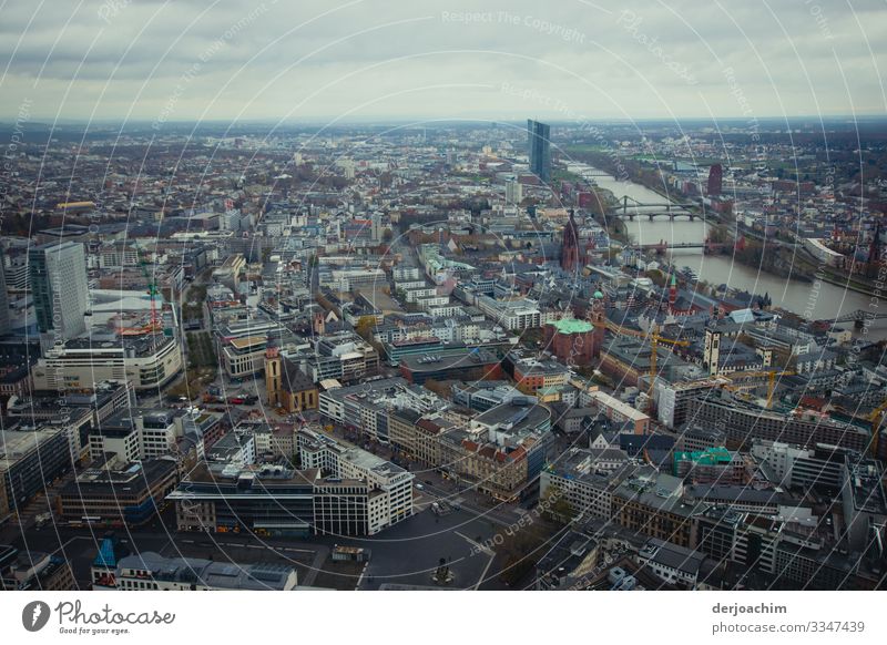 City from above is Frankfurt a / M to see.many houses , the cathedral and the Main. Joy Trip Living or residing Landscape Summer Beautiful weather Town Hesse